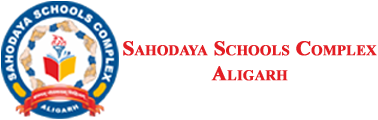 Logo NS Websolution